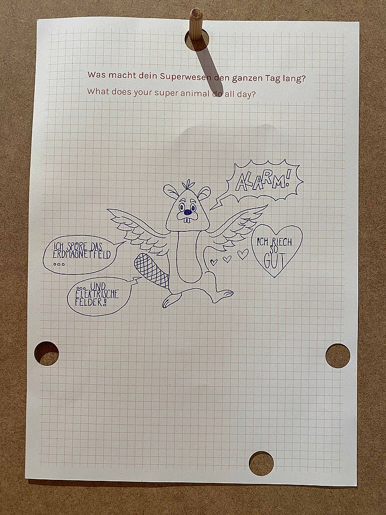 Rotkehlchen_Katta_Murmeltier_Schnabeltier_001.JPG 