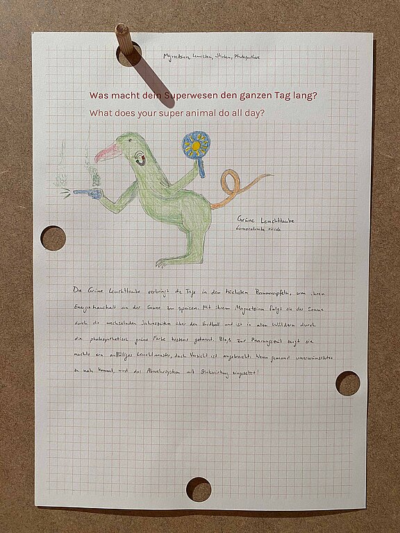 Rotkehlchen_Leuchtkäfer_Stinktier_Pflanze_001.JPG  