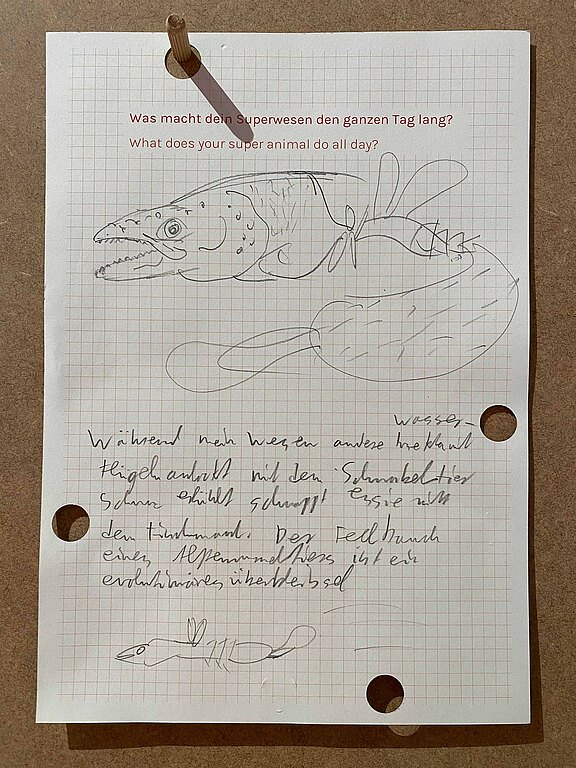 Lachs_Leuchtkäfer_Murmeltier_Schnabeltier_001.JPG  
