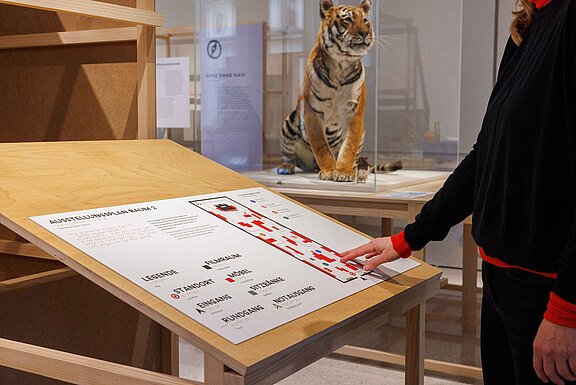 20221124_VonSinnen_Präsentation_031.jpg  
