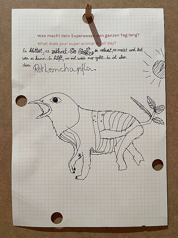 Rotkehlchen_Katta_Chamäleon_Pflanze_001.JPG  